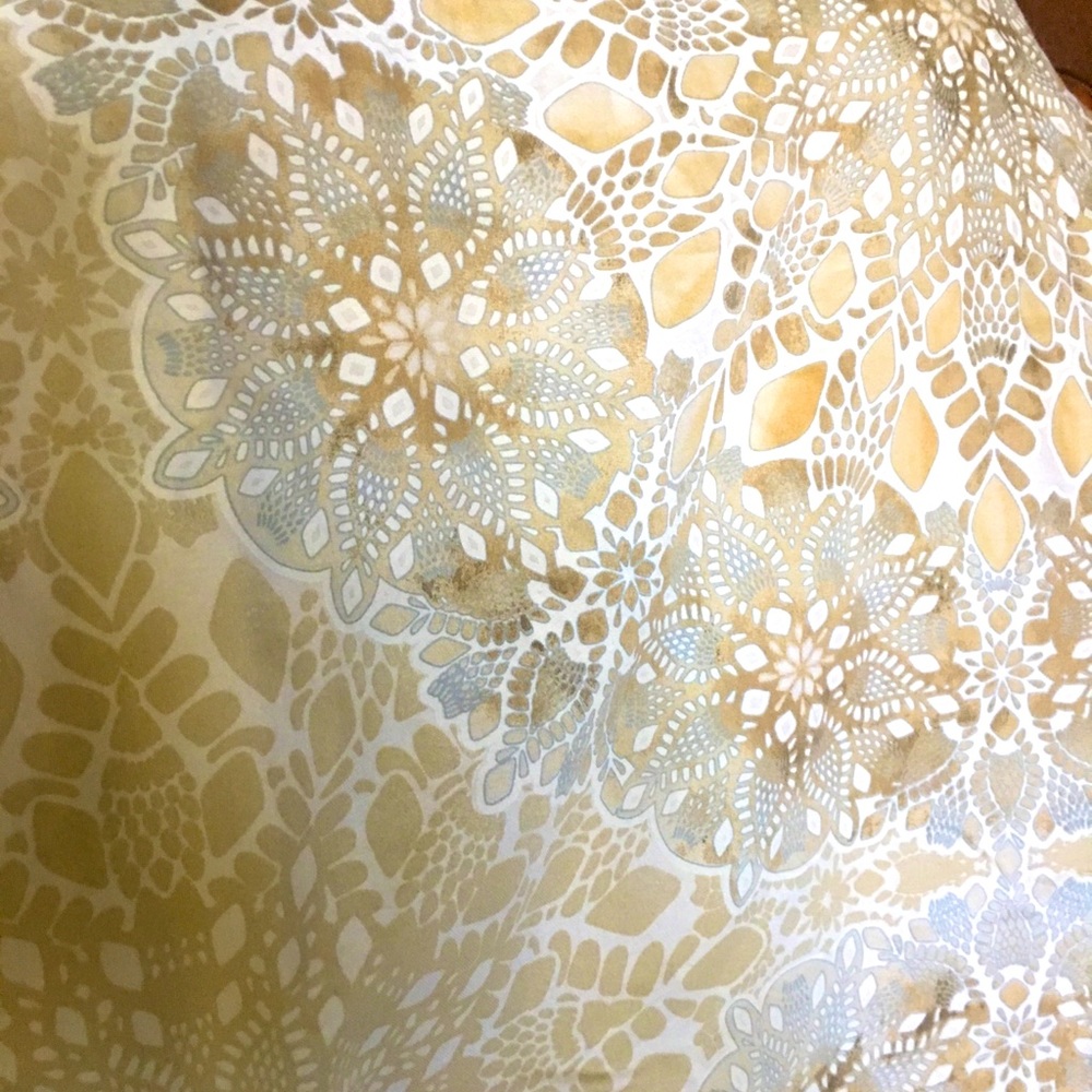 1 Pottery Barn Caesarea Euro Pillow Cases